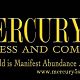 Mercury 5 Sky Business Sales