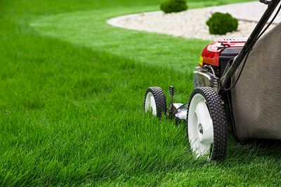 Sow Seeds of Success With These 5 Lawn Mowing Businesses For Sale