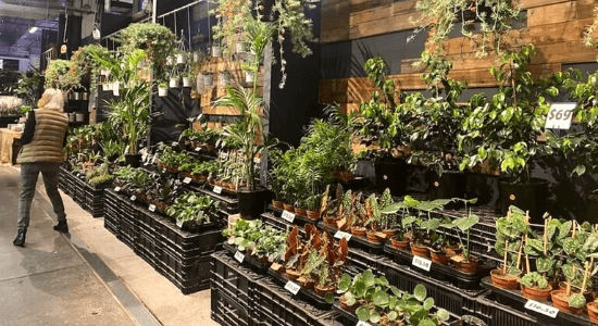 Plant Business For Sale Melbourne