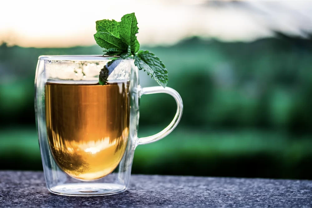 You won’t be-leaf this 18 year old online business for sale