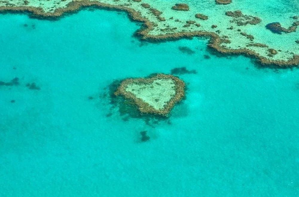 Will the Value of Your Tourism Business be Affected by the COVID-19 Crisis?