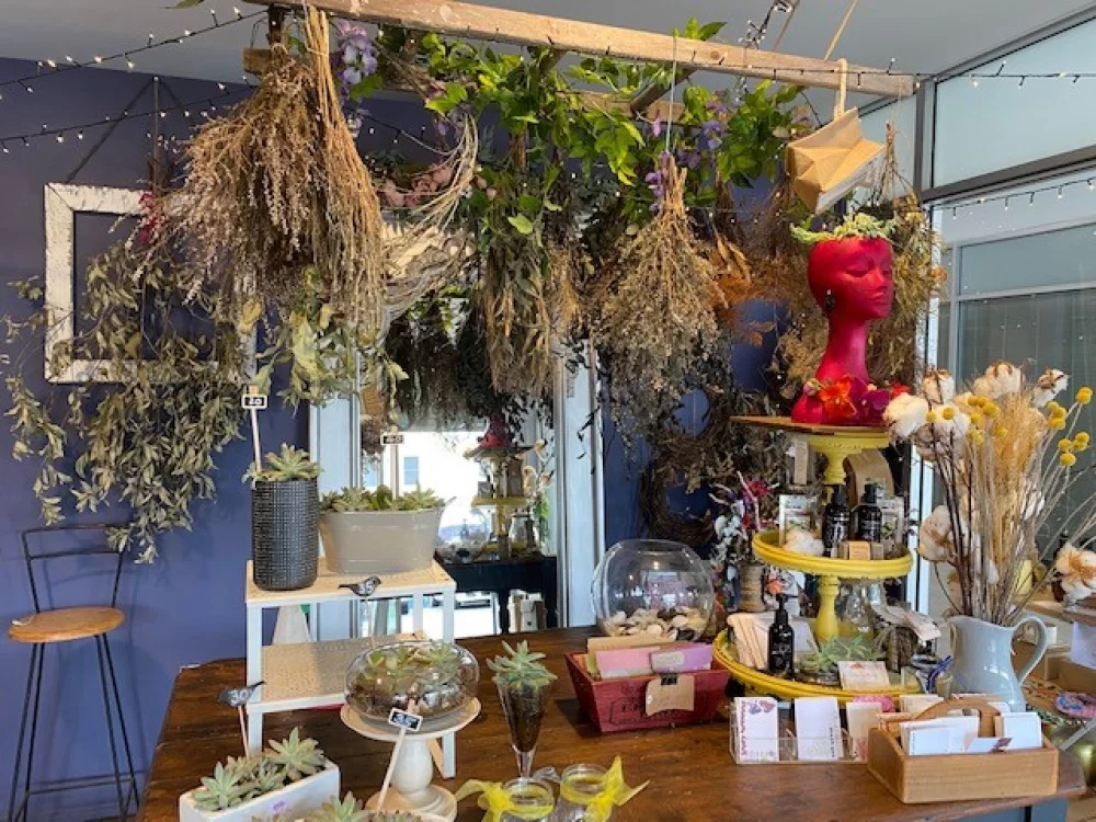 Blooming Rocky Business Looking for a New Green Thumb