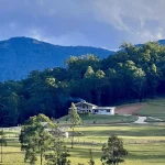 10 Hot Businesses for Sale Along the Mid North Coast NSW