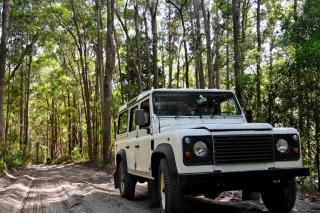 7 Businesses You Can Run With Minimal Staff