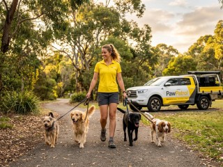 Pet Patrol & Dog Walking Business - Full Setup Included