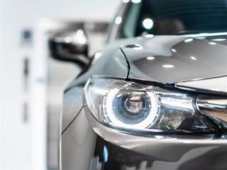 Auto Parts & Accessories Store