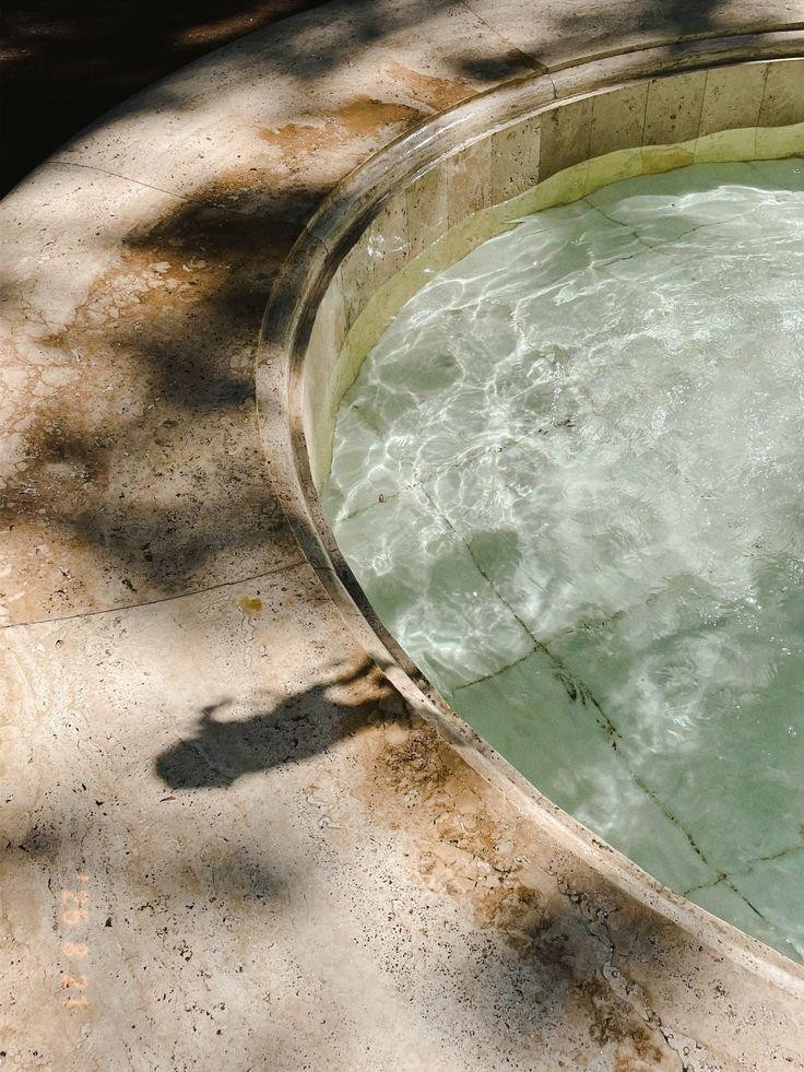 Established Wellness & Recovery 681159 1