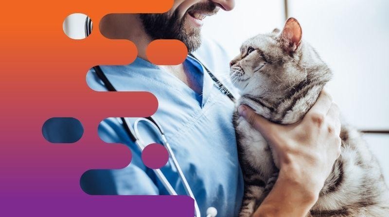 36686 Profitable Mobile Veterinary 680111 2