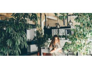High-Margin Plant Service Business