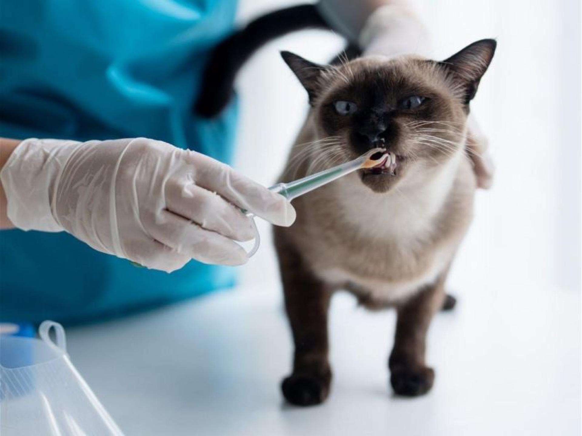 Home Office - National 680260 1