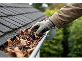 Profitable Gutter Cleaning Business /Residential & Commercial PF1604