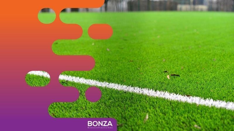 36714 Established Synthetic Grass 680736 2