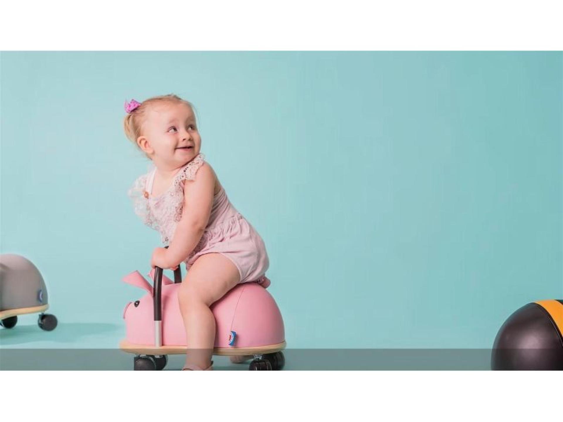 Wheely Bug Toys - 674772 2