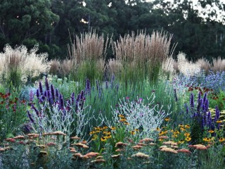 Wholesale & Retail Nursery | Established Perennials Nursery Opportunity | VIC