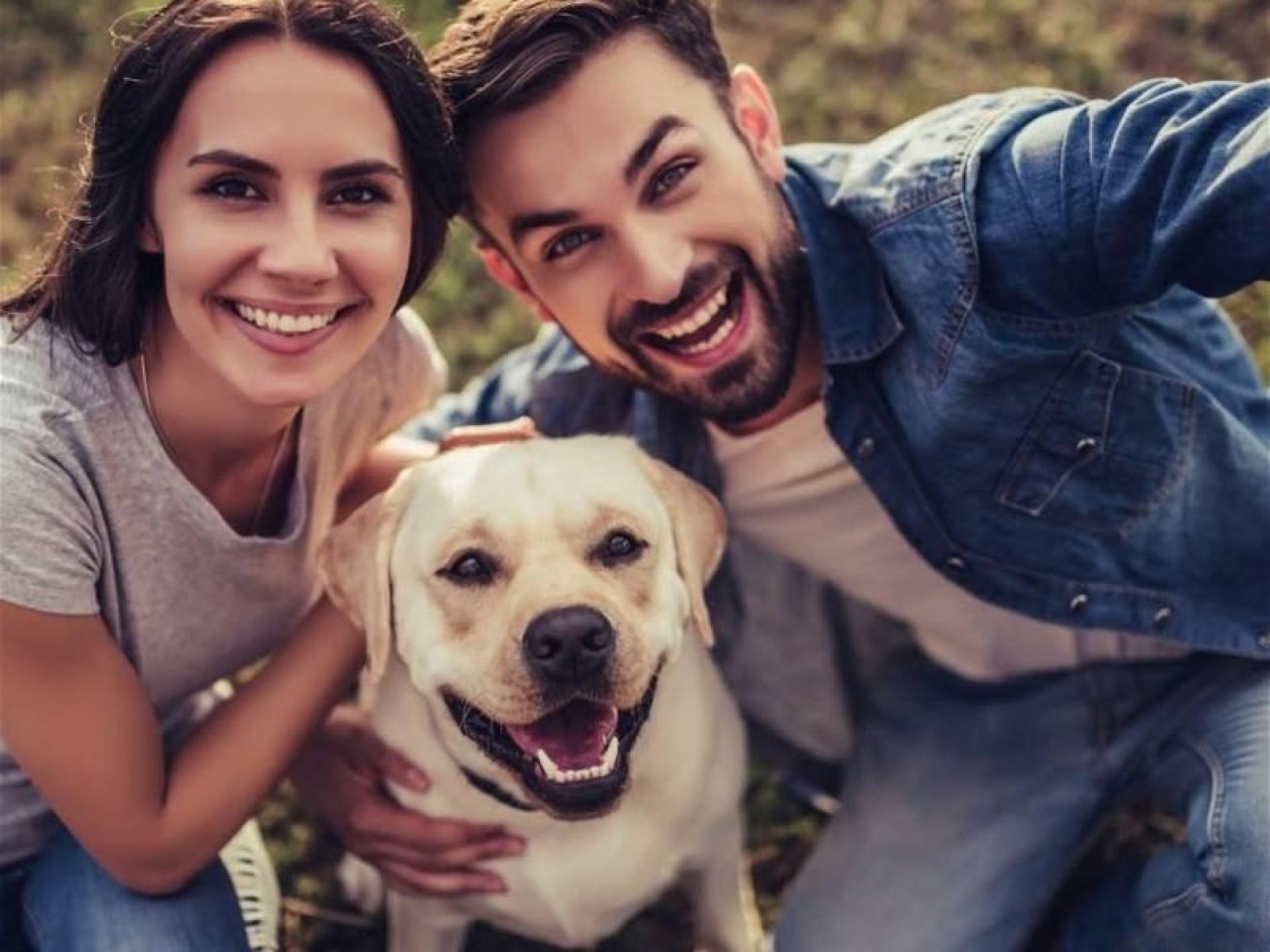 Bark Busters Dog Training 679603 2