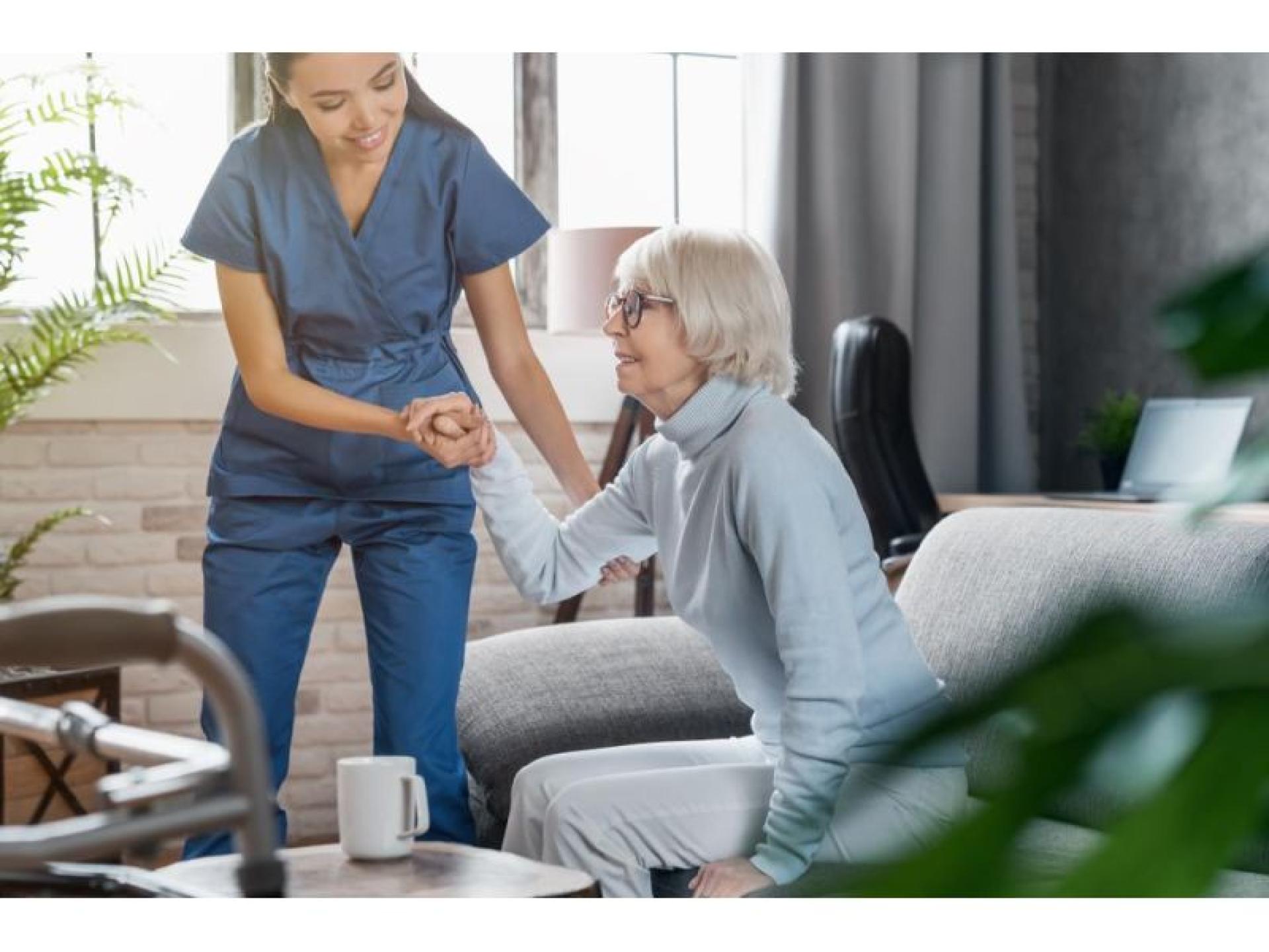 Established Home & Community 668212 1