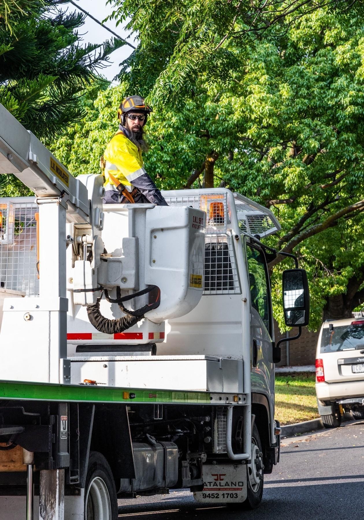 Vegetation Maintenance Municipal Contractor 681053 3