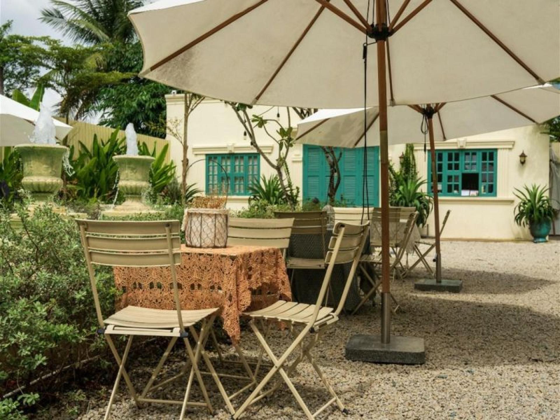 Solid Darwin Business. Consistent 668983 2