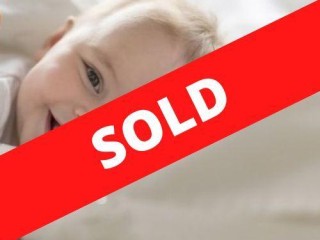 35367 Thriving E-Commerce Business  High Demand Baby Industry