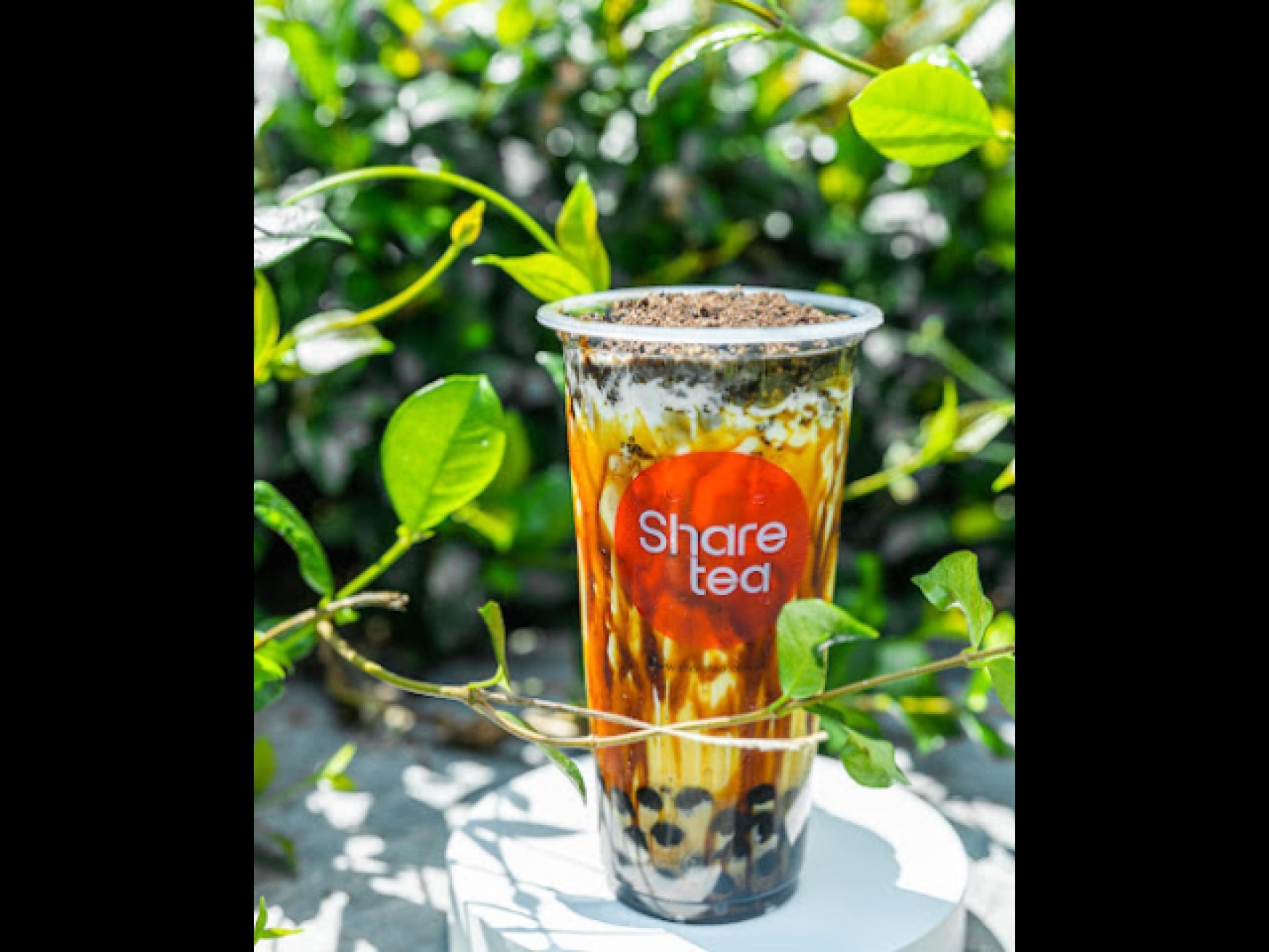 Sharetea Franchise Resale In 652624 1