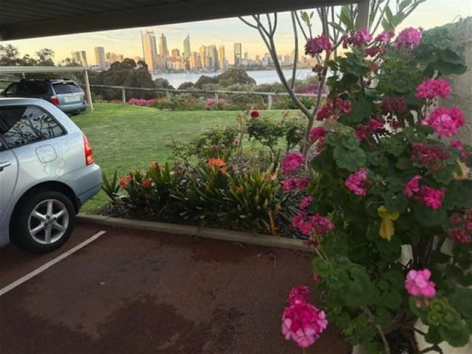 Landscaping & Maintenance - 672199 3