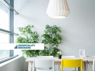 Restaurant Returns | Daytime Lifestyle