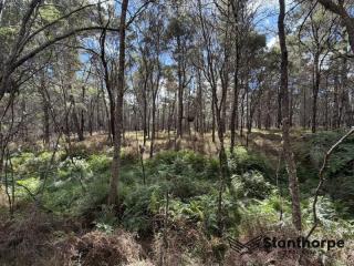 SUGARLOAF VIA STANTHORPE 5 ACRE EX-FORESTRY