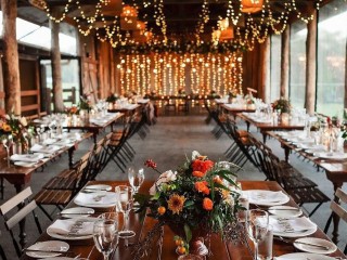 HISTORIC SUNSHINE COAST HINTERLAND BISTRO – FULLY LICENSED, PROFITABLE, AND POISED FOR GROWTH