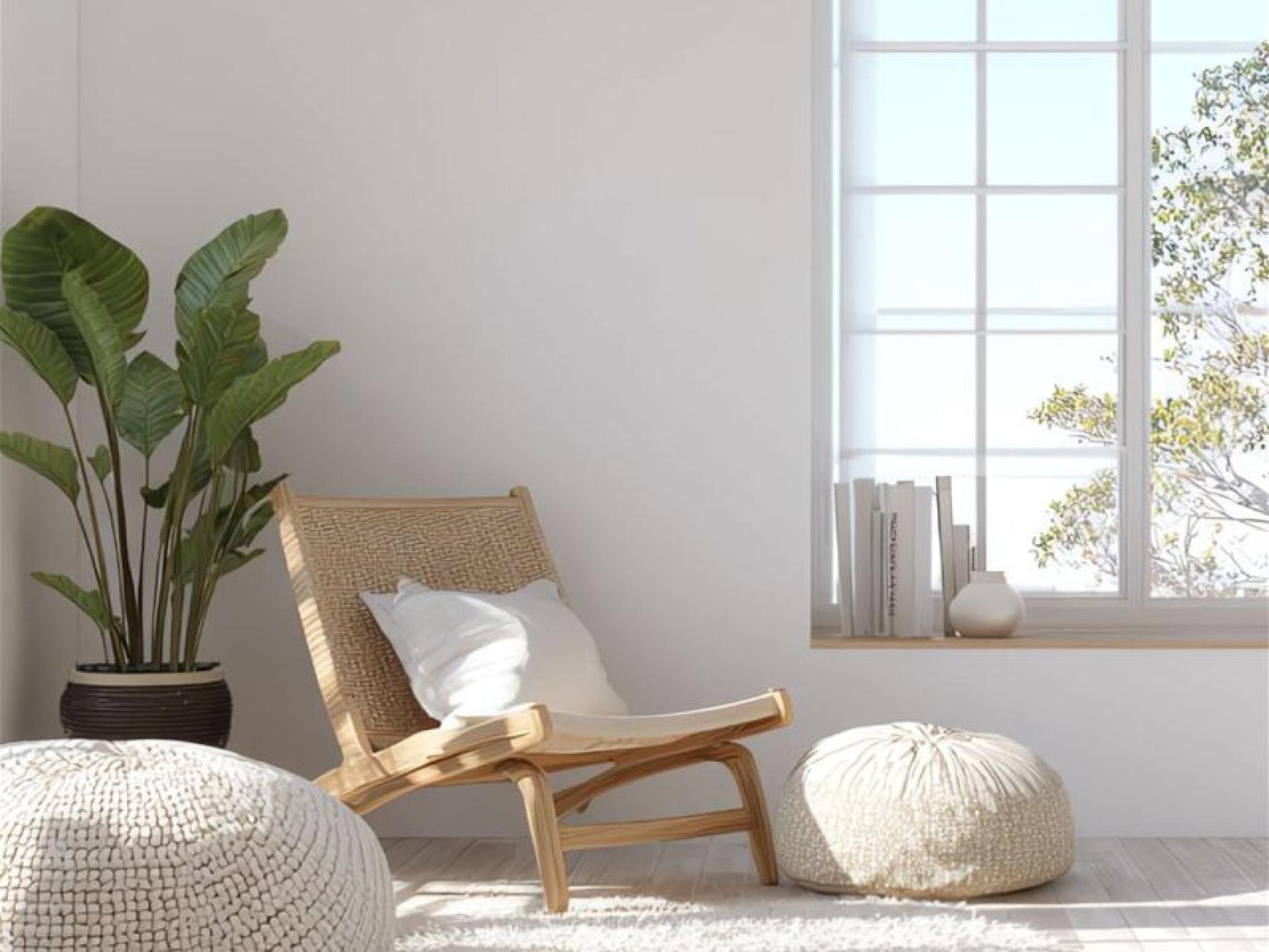 Eco Cleaning Business - 675115 2