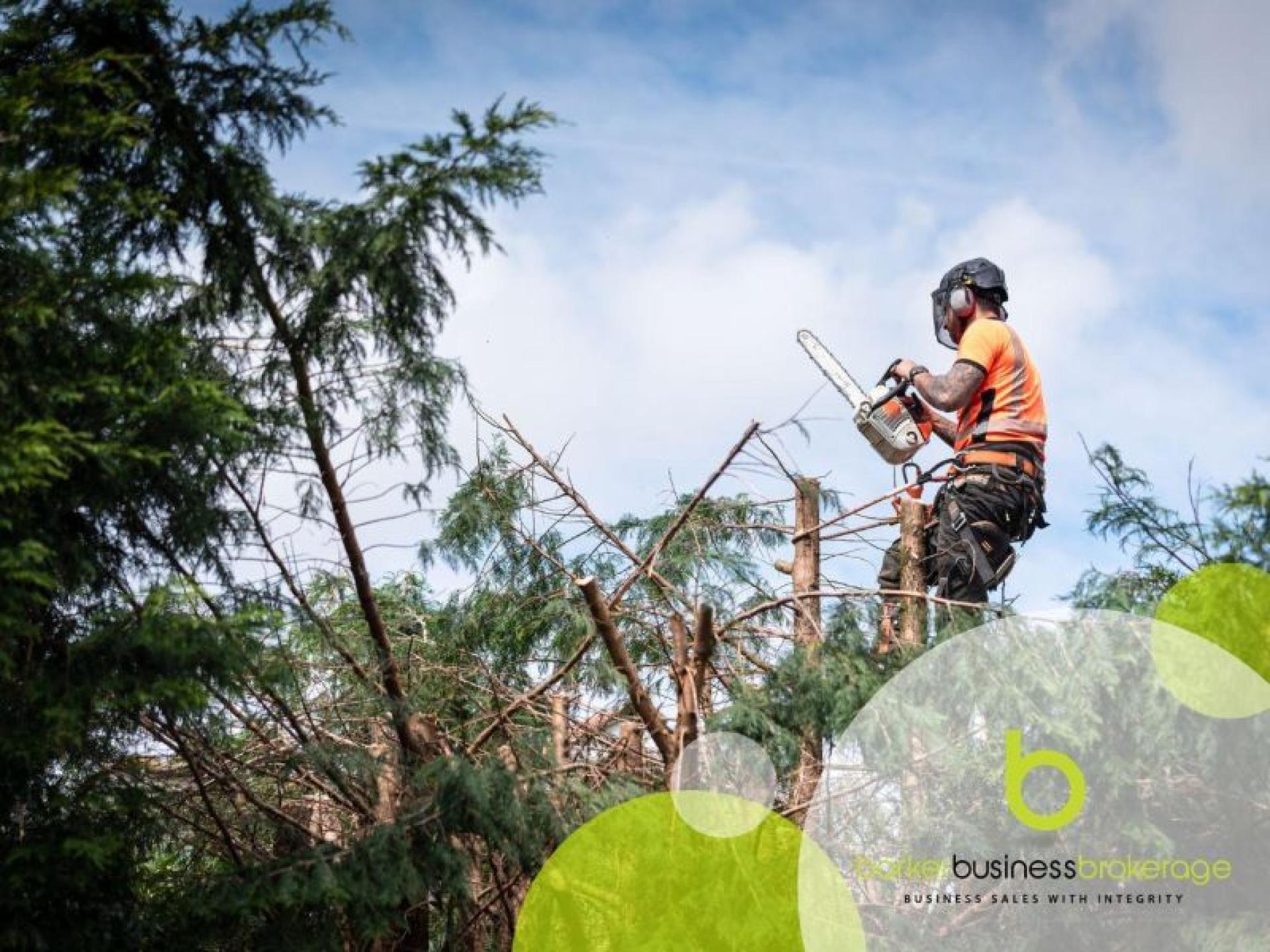 Leading Local Tree Maintenance 672340 1