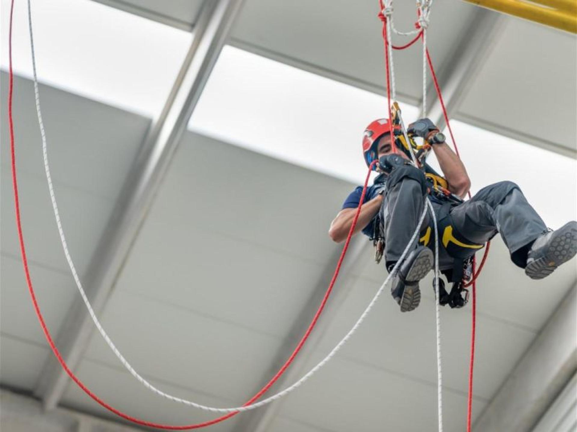 Shelf Rto - Ready 680730 2