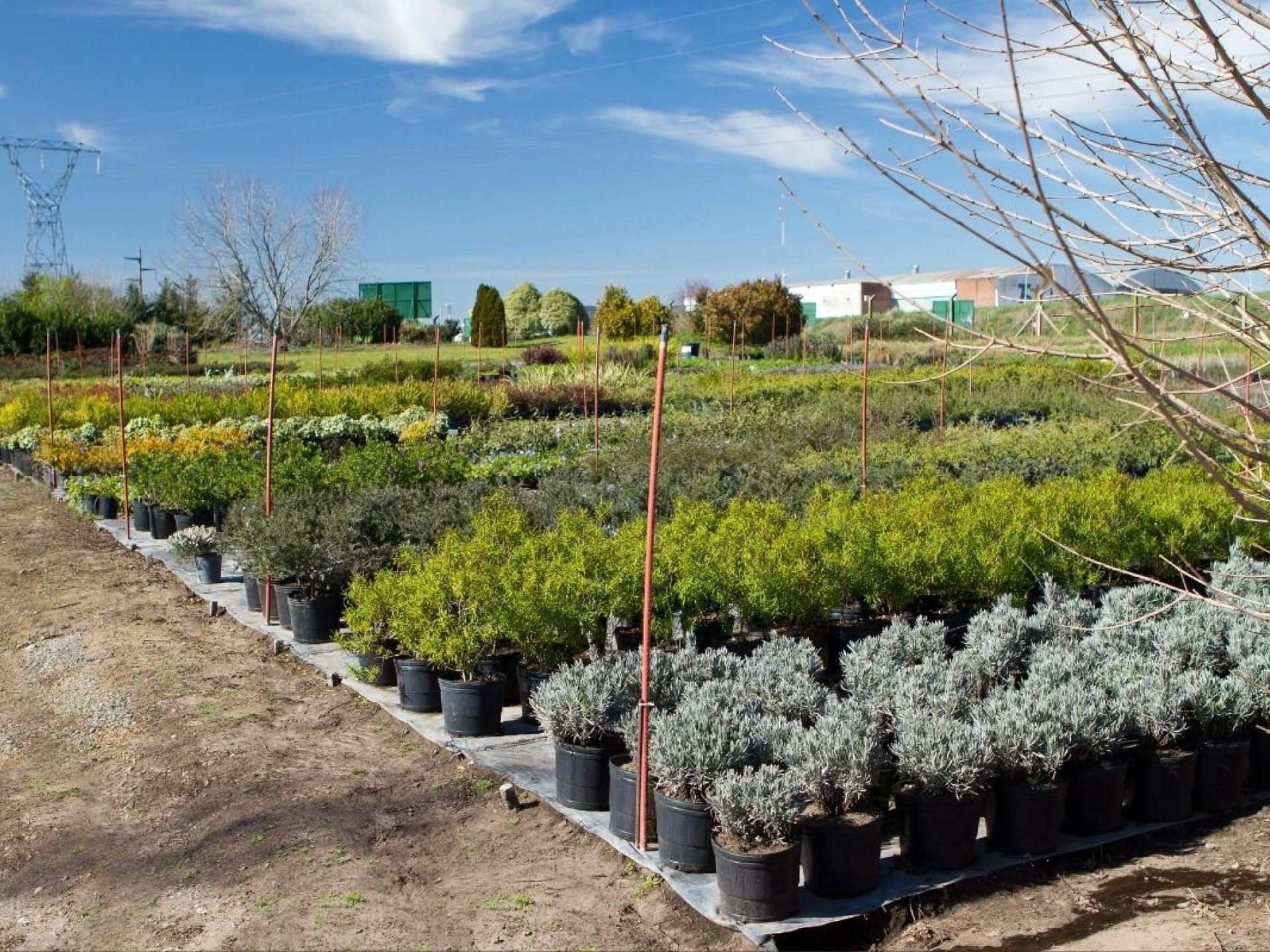 Quality Horticultural Business Vic 684879 3