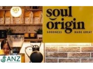 Soul Origin for sale in North-west of the Sydney - NSW340