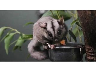 Profitable Pest Control Business for Sale