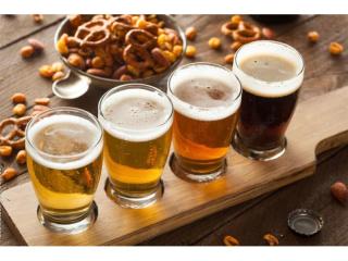 Hobby Brewing Retail Business - Brisbane Northside