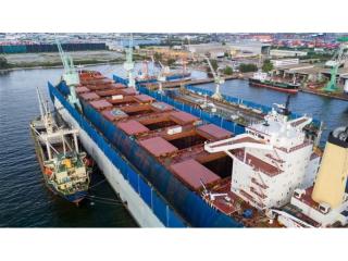 Thriving Export Services Business in South East QLD