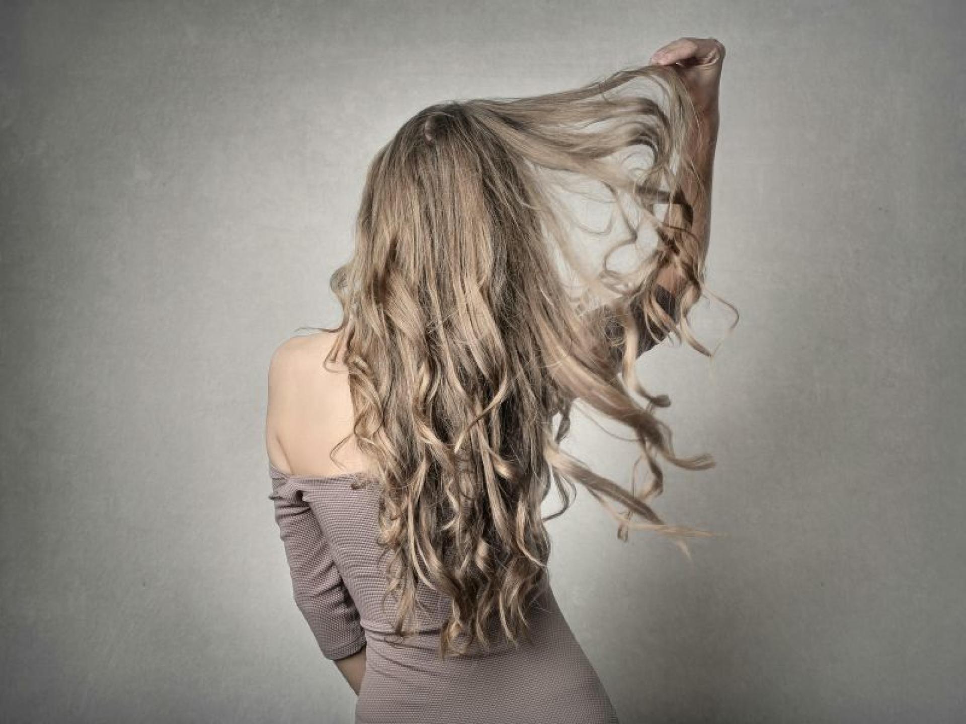 Established Hair Salon Brighton-le-sands 681231 1