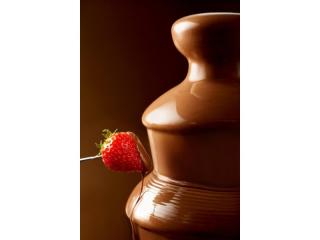 Leading Chocolate Fountain Supplier Plus Event Hire Services – Established for Decades, Top Tier Clients
