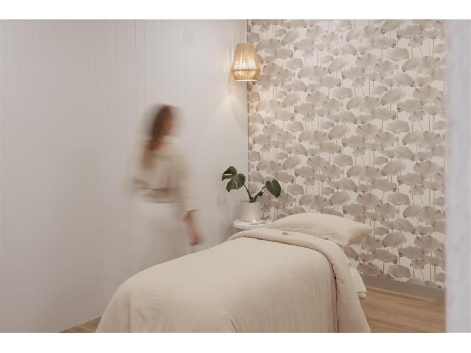 Established Low-risk Holistic & 679634 2