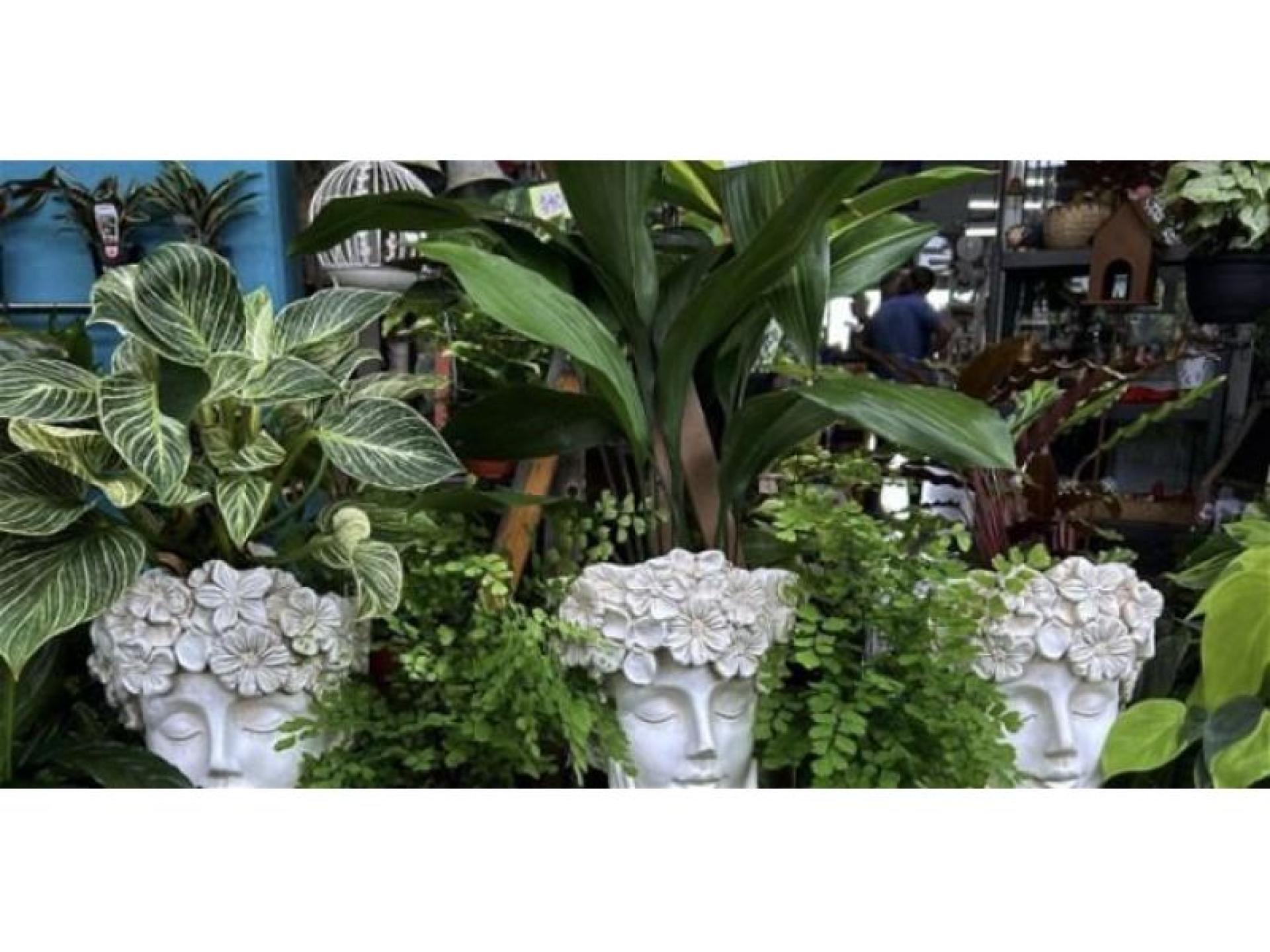 Newcastle Area Hardware And 669288 2