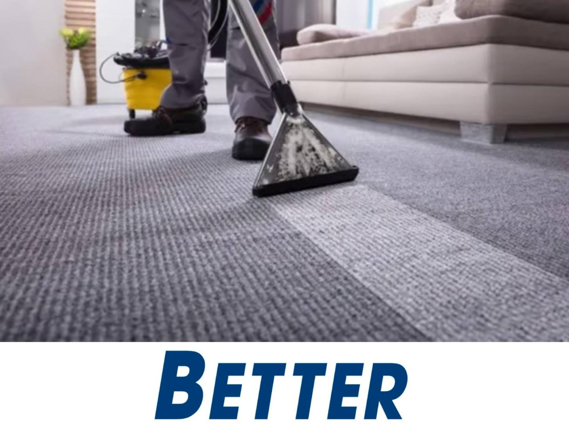 Carpet Cleaning & Pest 652054 1