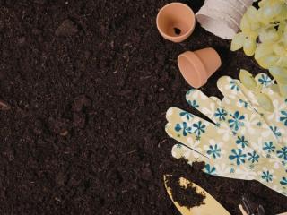 Landscaping & Garden Supply Business