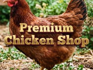 Premium Chicken Shop and Takeaway - 5893