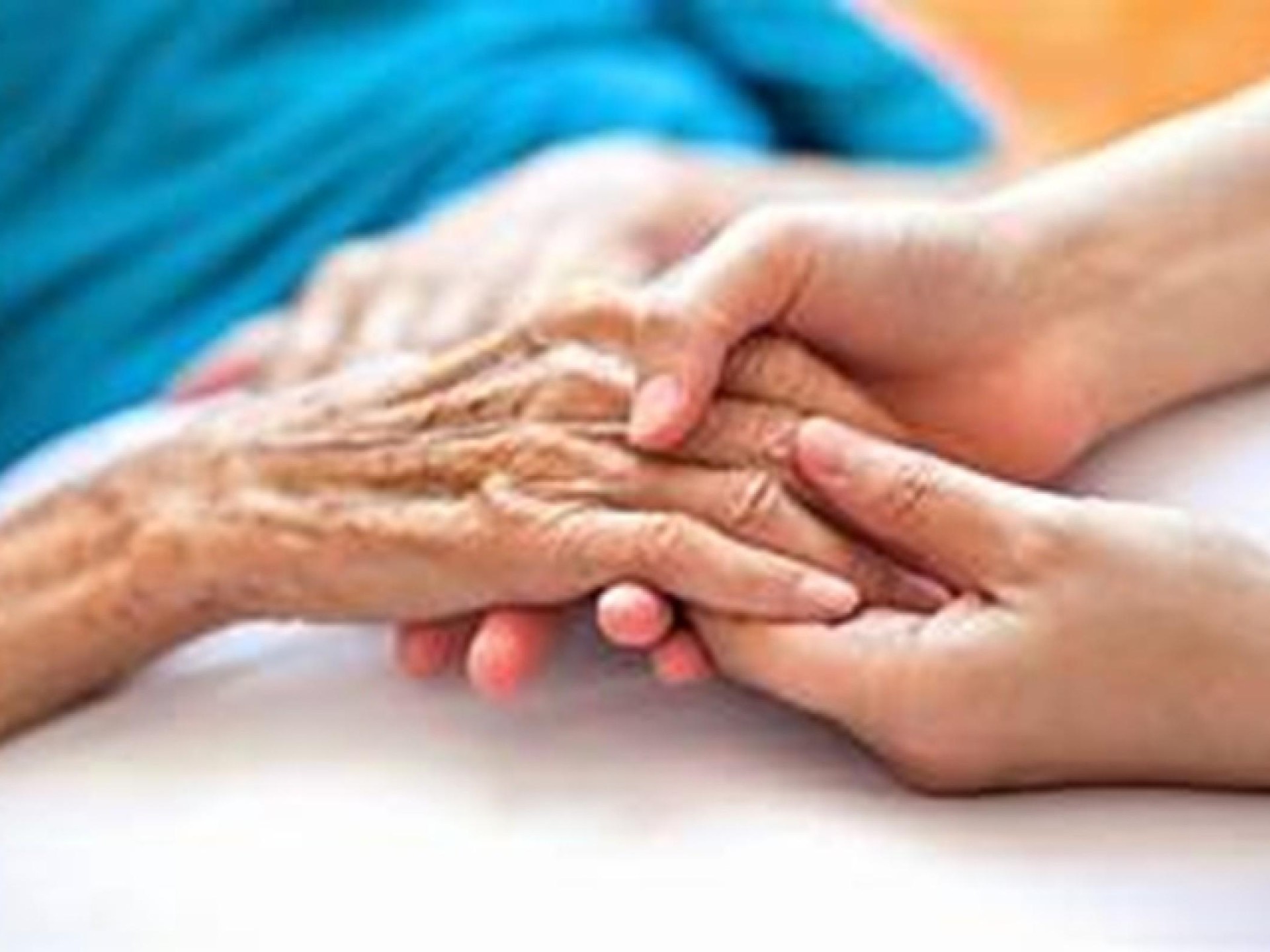 Well Established Ndis/disability Registered 686041 1