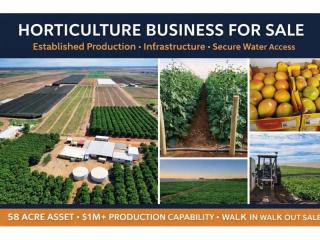 Horticulture Business & 58 Acre Asset | $1.5M+ Capability | Walk-In Walk-Out