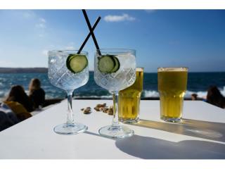 Modern Coastal Bar/Dining Venue, Under Management, Cronulla | ID: 1420