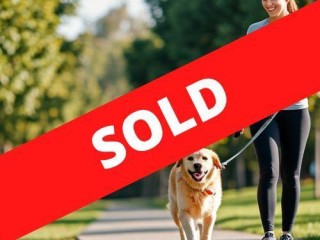 34391 Profitable Dog Walking Business - High Demand & Flexible 