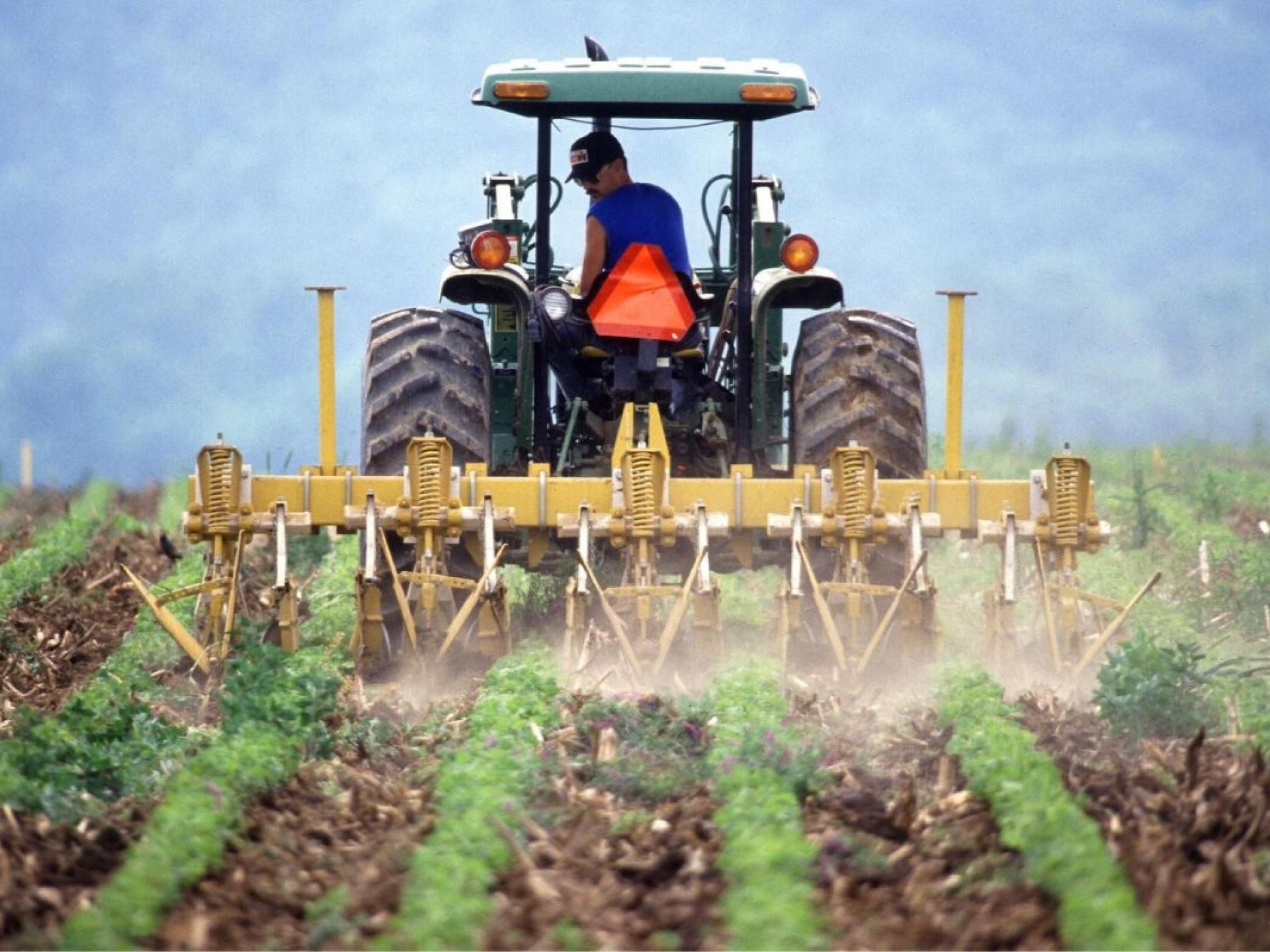 Freehold Agricultural Supplies Toowoomba 677862 2