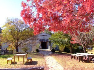 Award-Winning Iconic Tourism & Manufacturing Business