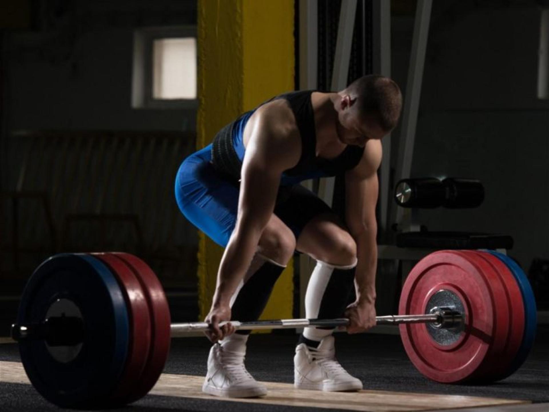 High Performance Gym Business 683249 1